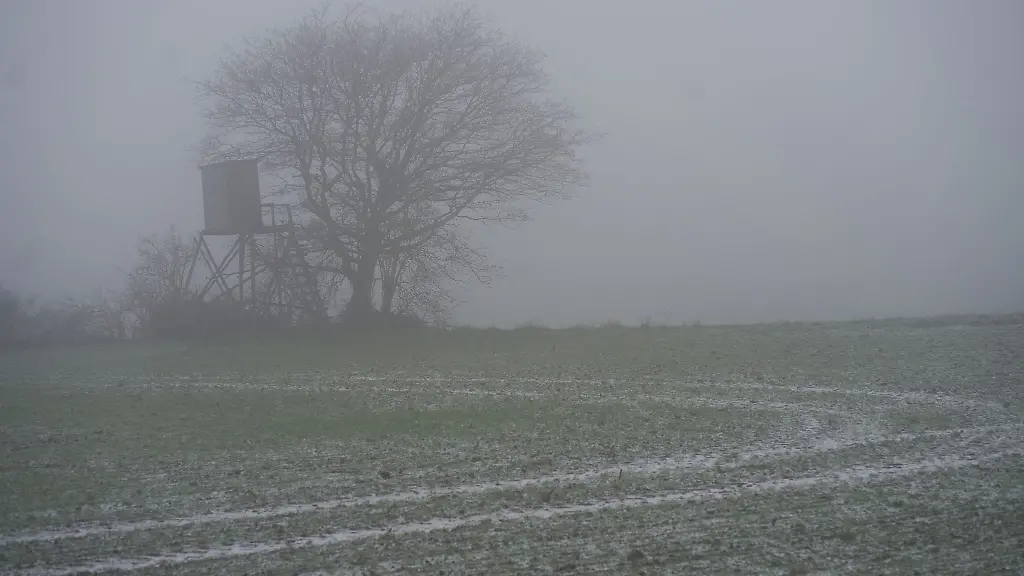 Ein-Baum-steht-im-Nebel-auf-einem-Feld