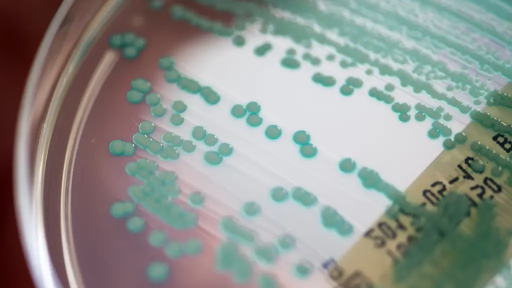 1bd291382166d90386470c39ff234b88