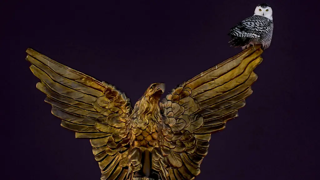 65d06ca8b4334ea47f879910ab6854e5