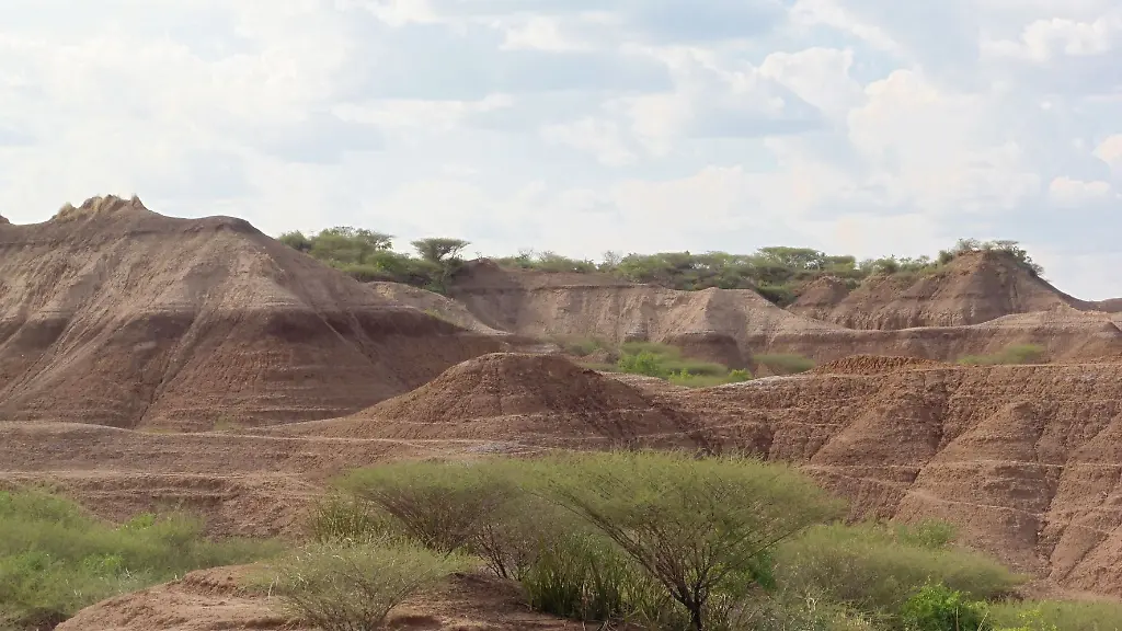 1d262afcdffeb91304306b52c3a11541