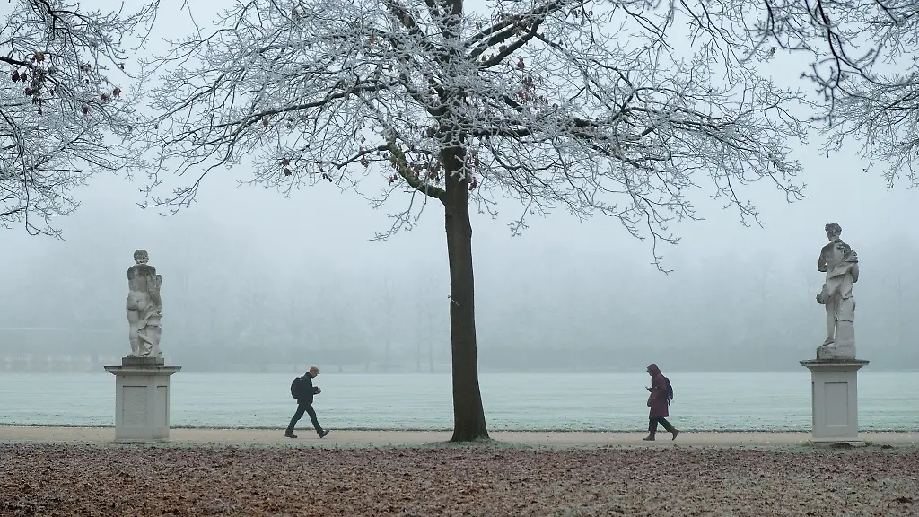 Nachfrost-bedeckt-Baeume-an-der-Karlsaue-in-Kassel