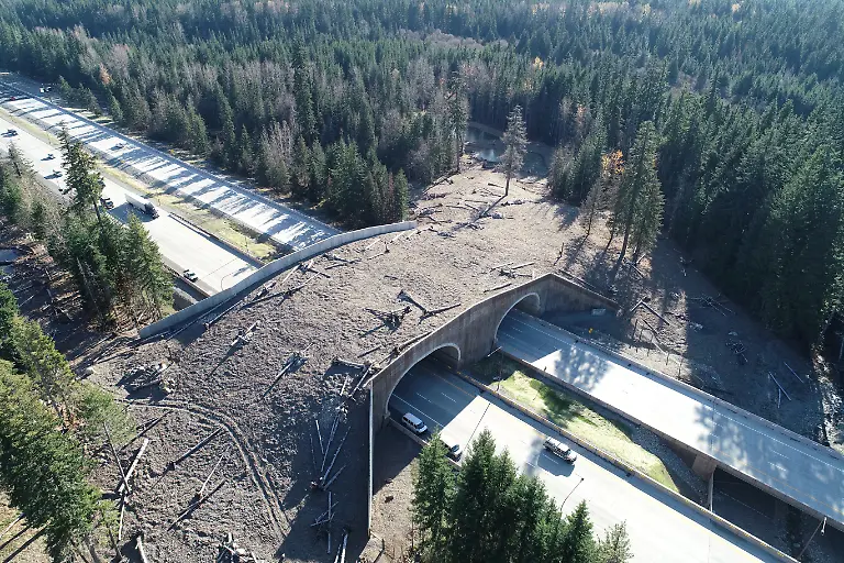 A-land-bridge-crossing-for-wildlife-over-Interstate-90-is-seen-near-Snoqualmie-Pass