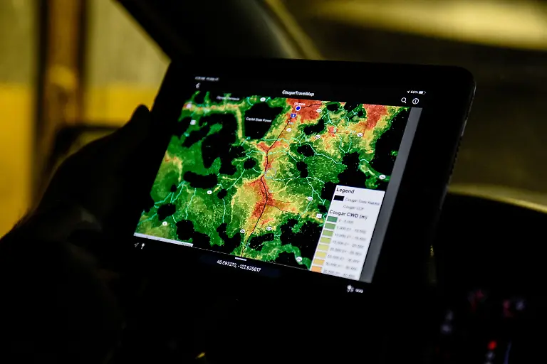 2022-01-10T140117Z-1458418979-RC2BGR9JVDJ0-RTRMADP-3-USA-WILDLIFE-COUGARS