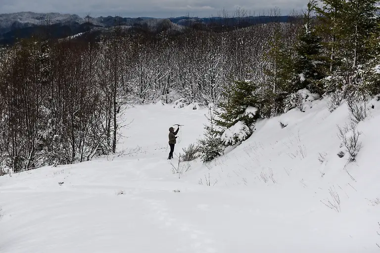 2022-01-10T140059Z-490406299-RC2QDR9O9BQE-RTRMADP-3-USA-WILDLIFE-COUGARS