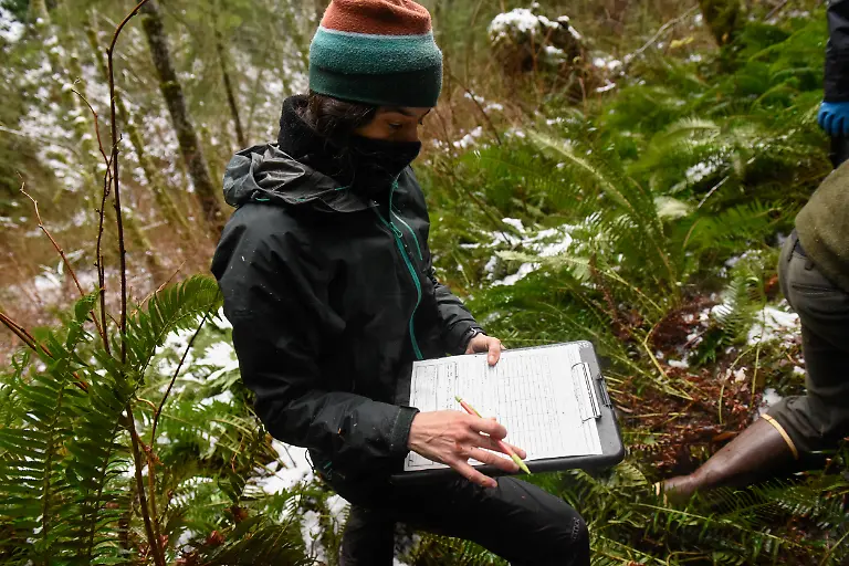 2022-01-10T140113Z-1599457926-RC2HER9IK3QN-RTRMADP-3-USA-WILDLIFE-COUGARS