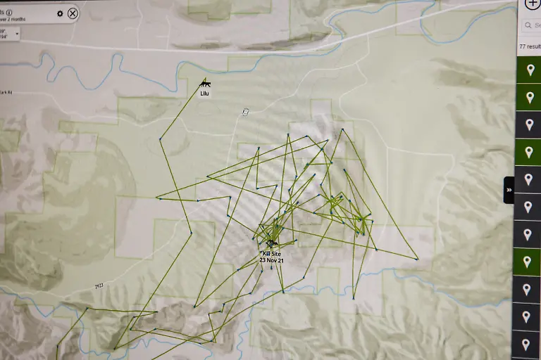 A-computer-screen-showing-GPS-tracking-for-Lilu