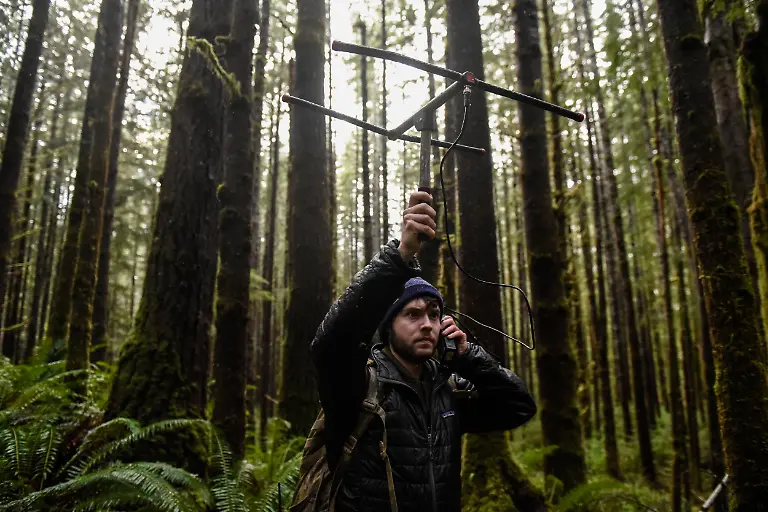 Read-Barbee-23-a-field-technician-and-member-of-the-Olympic-Cougar-Project