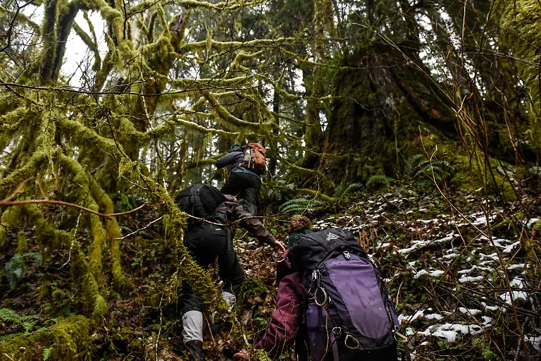 2022-01-10T140102Z-1630156849-RC2EER9F8K2U-RTRMADP-3-USA-WILDLIFE-COUGARS