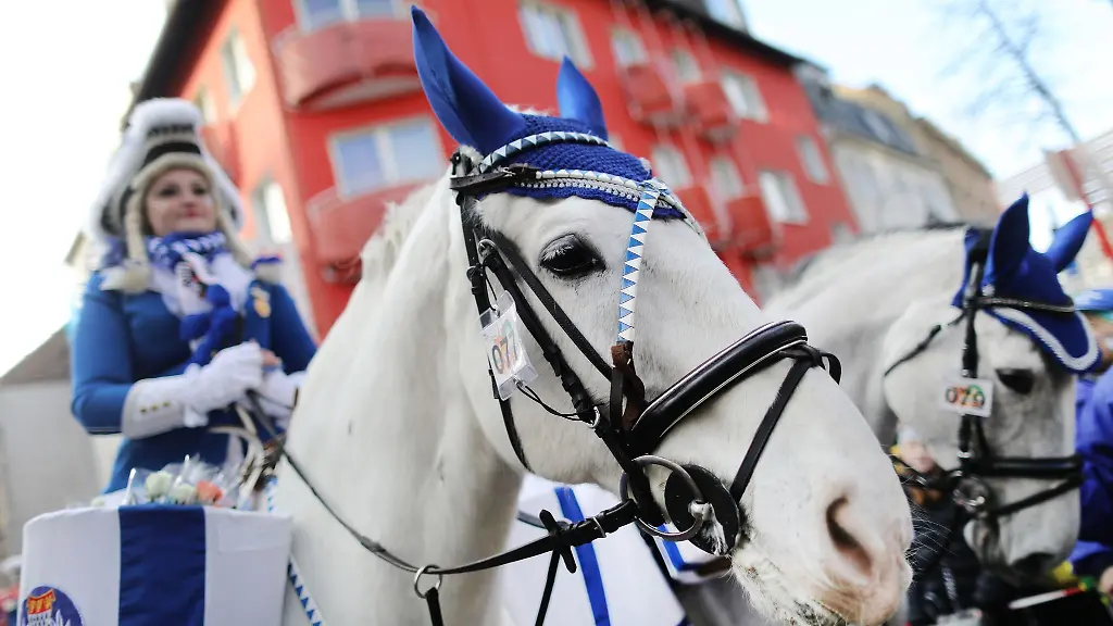 Eine-Karnevalistin-auf-einem-Pferd-nimmt-am-Koelner-Rosenmontagszug-teil
