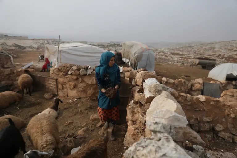 Frau-baut-Mauer-fu-r-Schafstall-in-Babisqa