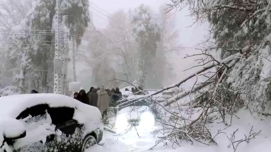 Durch-den-Schneesturm-stuerzten-zahlreiche-Baeume-um-und-blockierten-die-schmale-Strasse-in-das-Bergdorf-in-Pakistan