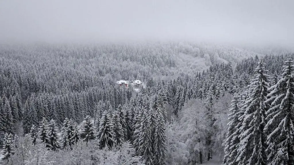 Blick-auf-den-verschneiten-Thueringer-Wald
