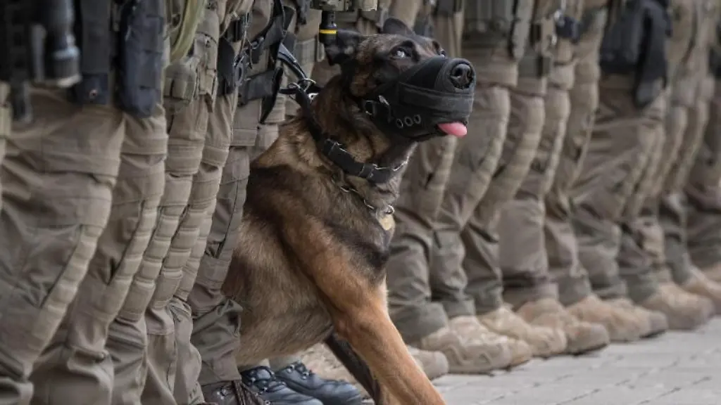 Beamte-des-Spezialeinsatzkommandos-der-Polizei-Frankfurt-waehrend-einer-Uebung-mit-Diensthund