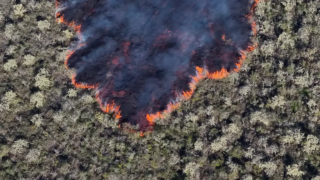 2b9de71dd69a241285a2cab263bb21ff