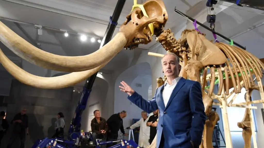 Museumsdirektor-Martin-Faas-steht-vor-dem-fossilen-Skelett-des-Mastodon