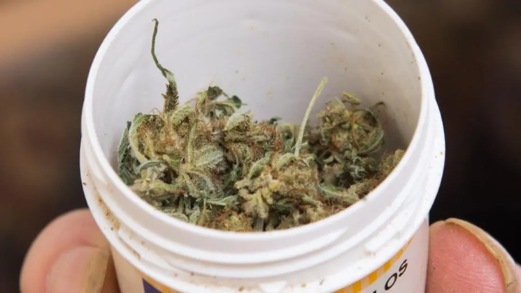 Ein-Patient-haelt-eine-Dose-mit-Cannabis-in-der-Hand