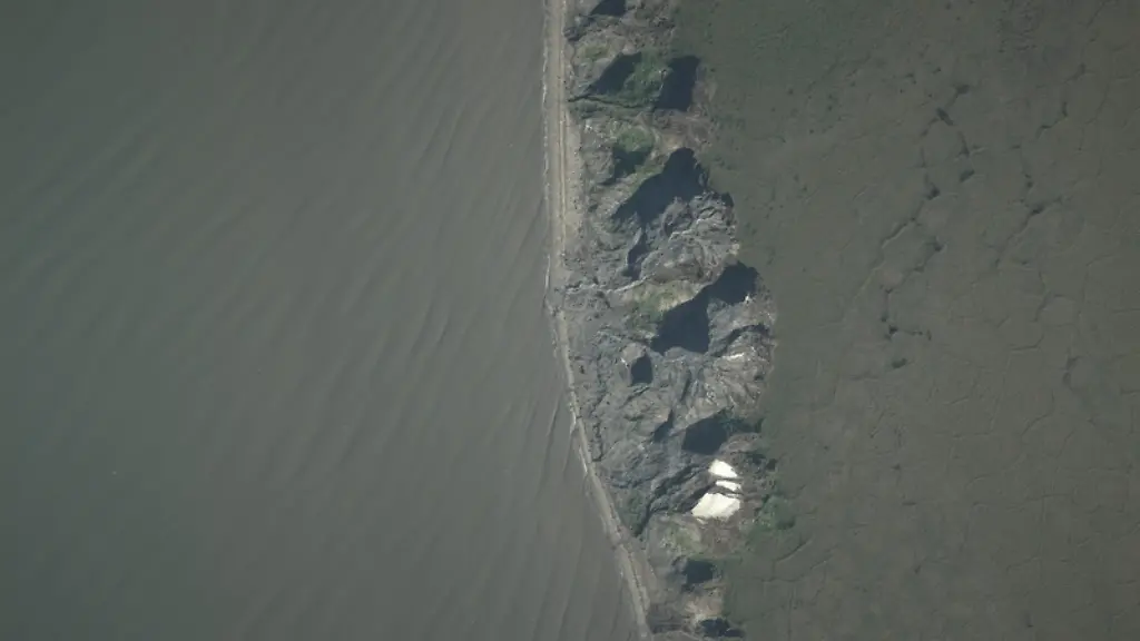 VERWENDUNG-NUR-IN-ZUSAMMENHANG-MIT-DER-STUDIE