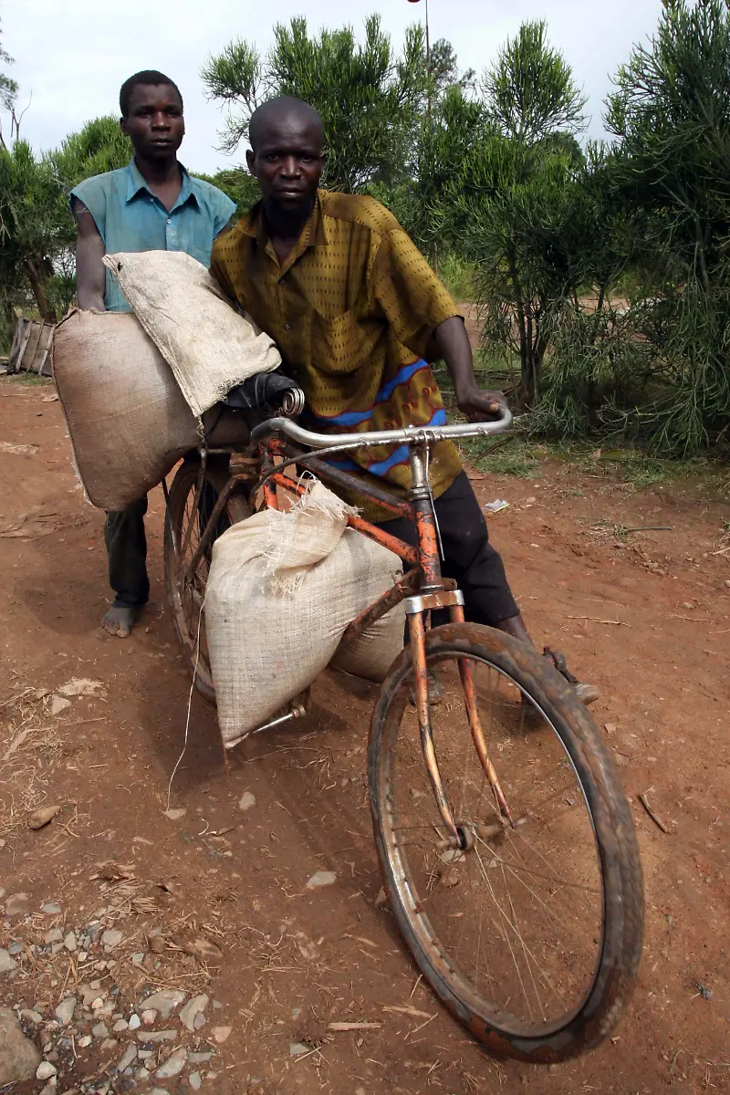 2007-05-24T120000Z-1606320949-GF1DVFUCAPAA-RTRMADP-3-CONGO-MINING