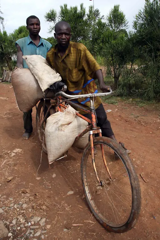 2007-05-24T120000Z-1606320949-GF1DVFUCAPAA-RTRMADP-3-CONGO-MINING