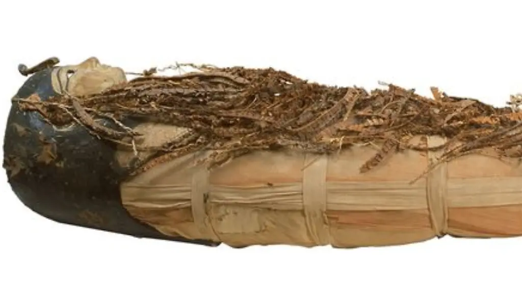 ACHTUNG-Frei-nur-im-Zusammenhang-mit-der-Berichterstattung-ueber-die-Studie