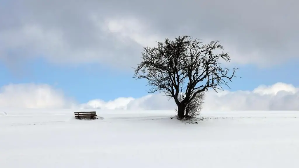 Eine-Bank-und-ein-Baum-stehen-in-der-mit-Neuschnee-bedeckten-Landschaft-in-Bayern