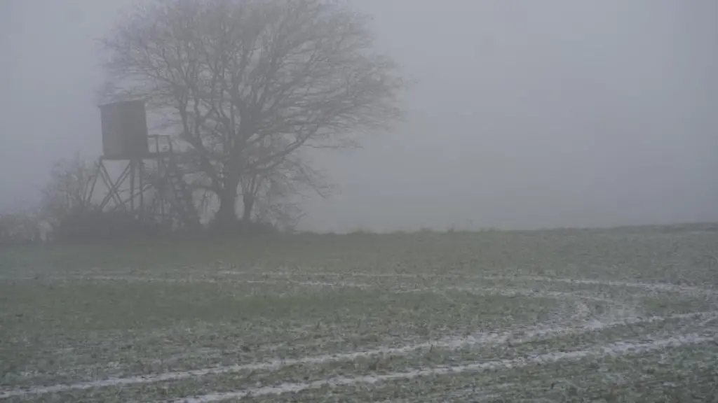Ein-Baum-steht-im-Nebel-auf-einem-Feld