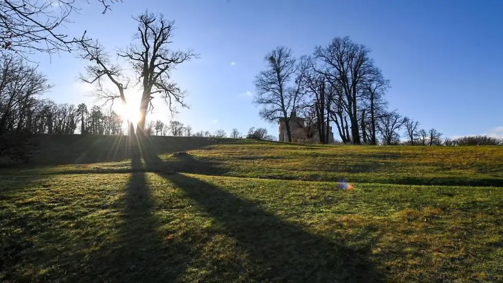 Die-Baeume-im-Park-Babelsberg-werfen-bei-Sonnenschein-lange-Schatten-ueber-die-teilweise-gruenen-Wiesen