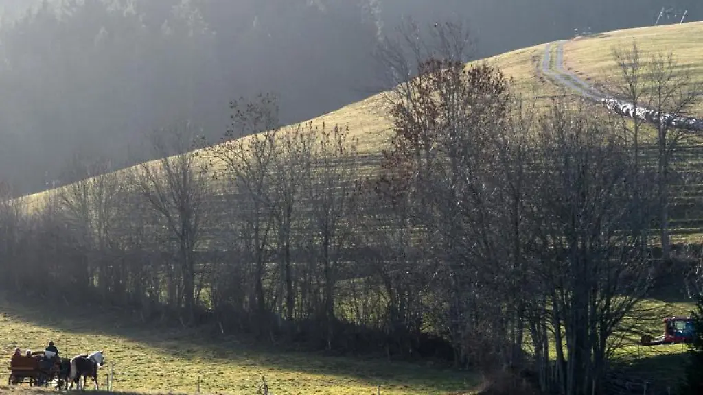 Eine-Pferdekutsche-faehrt-im-Schwarzwald-durch-die-gruene-Landschaft
