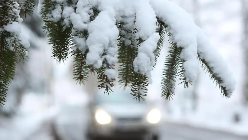 Ein-Auto-faehrt-hinter-einem-schneebedeckten-Zweig-ueber-die-Strasse