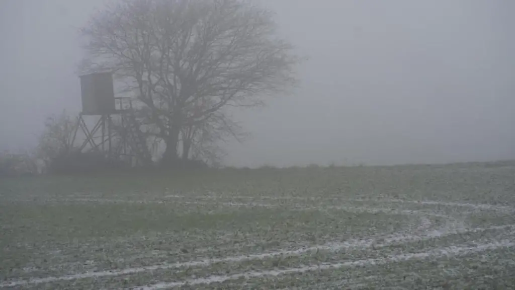 Ein-Baum-steht-im-Nebel-auf-einem-Feld