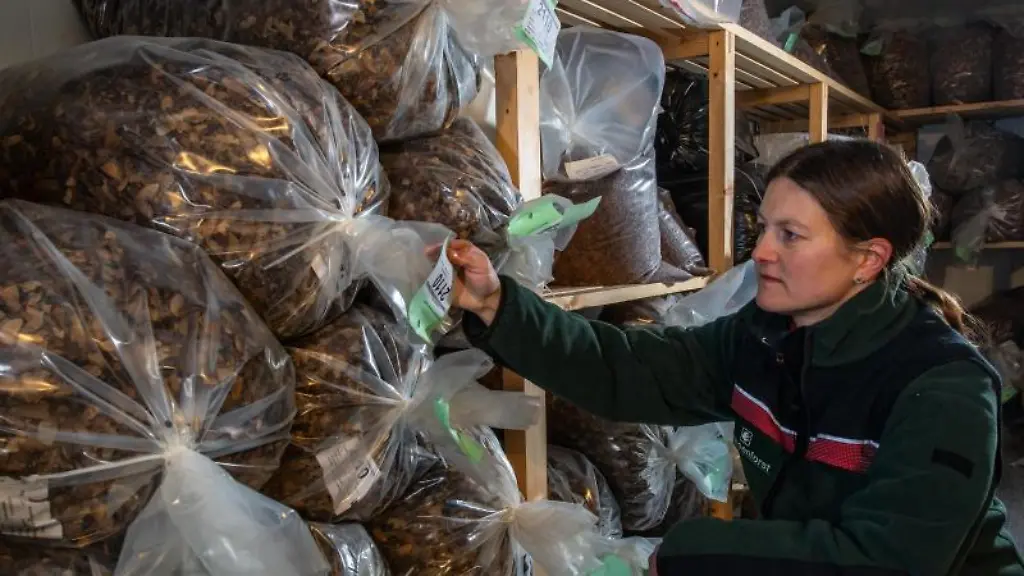 In-einer-Kuehlzelle-kontrolliert-Felicitas-Radeck-unterschiedliche-Samenbestaende