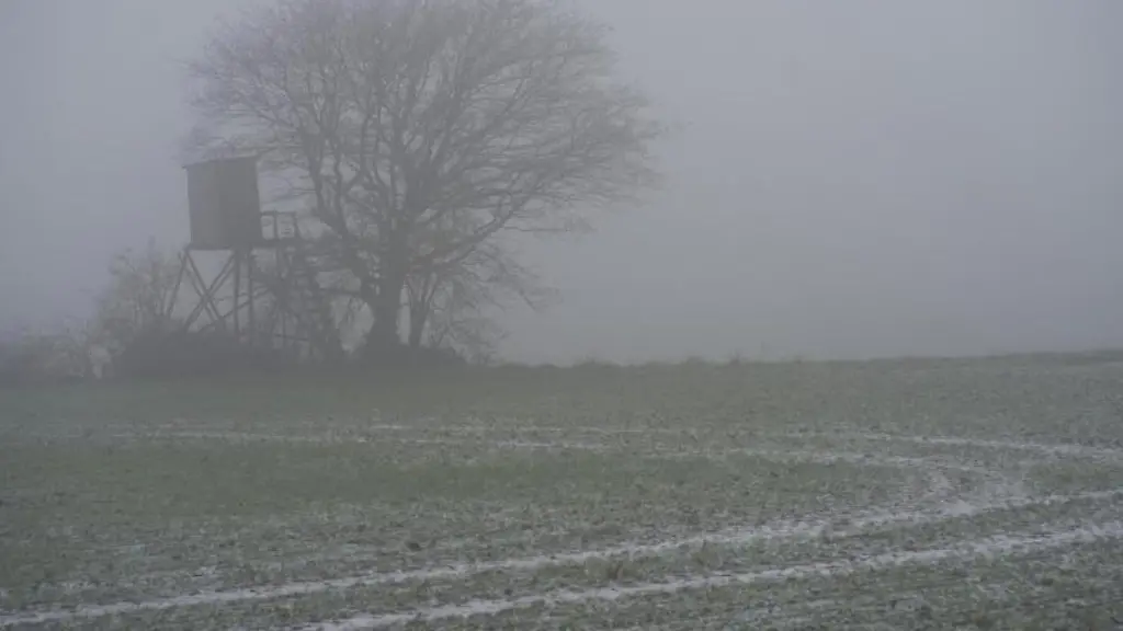 Ein-Baum-steht-im-Nebel-auf-einem-Feld