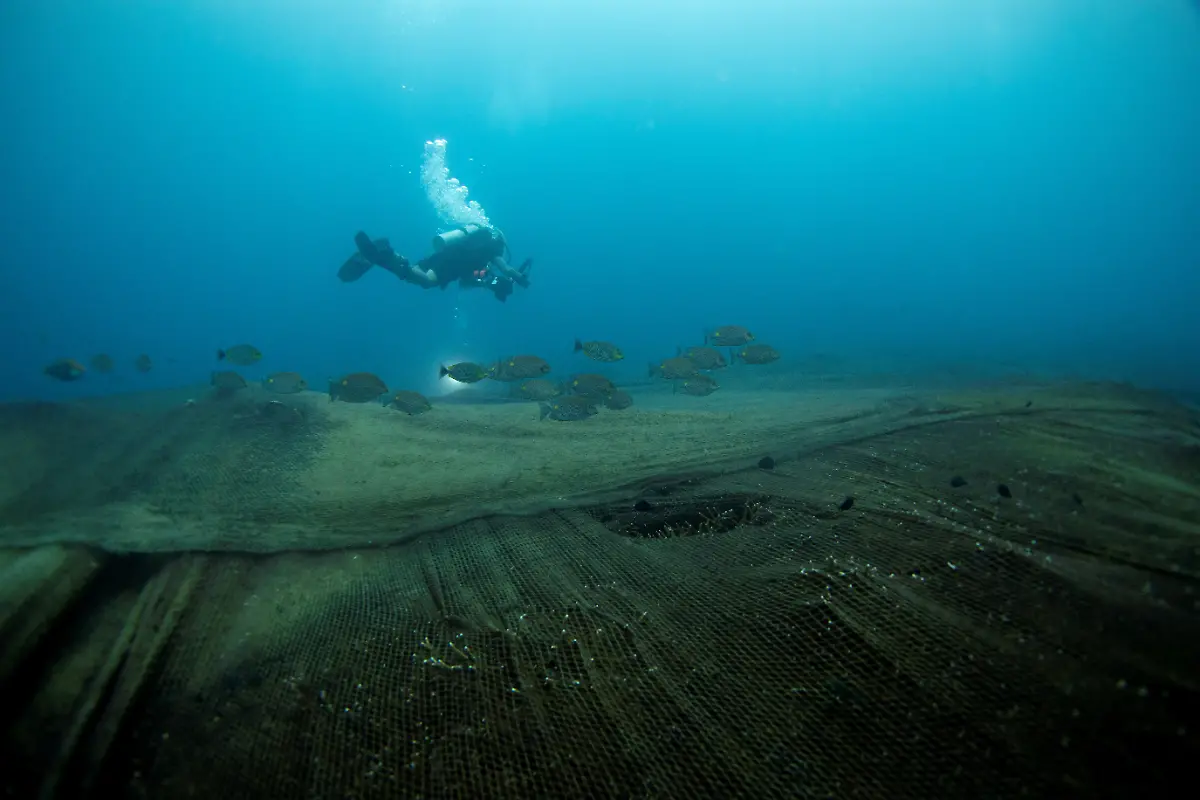 2021-06-19T000000Z-996262005-RC2J3O95A5NJ-RTRMADP-3-ENVIRONMENT-THAILAND-OCEAN-NET