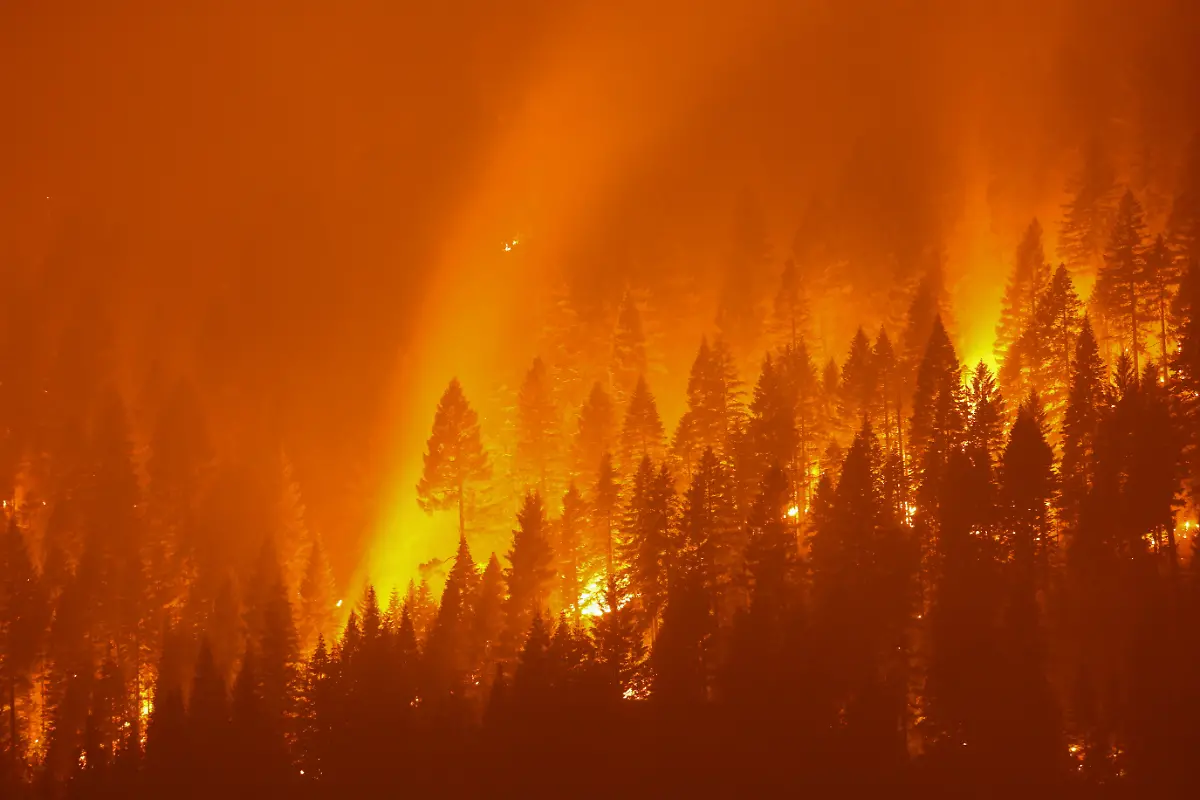 2021-07-28T000000Z-1288111227-RC2GTO9GD138-RTRMADP-3-USA-WEATHER-WILDFIRES