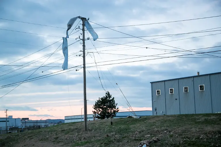 c4bf3eec62859b4d921abfd9a7772984