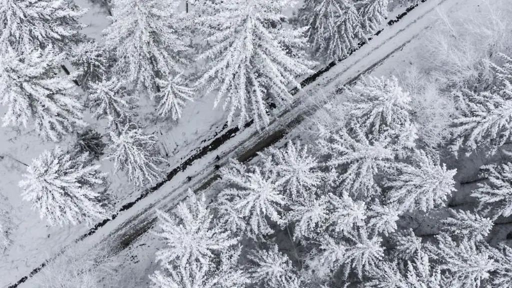 Ein-Nadelwald-ist-mit-Schnee-bedeckt