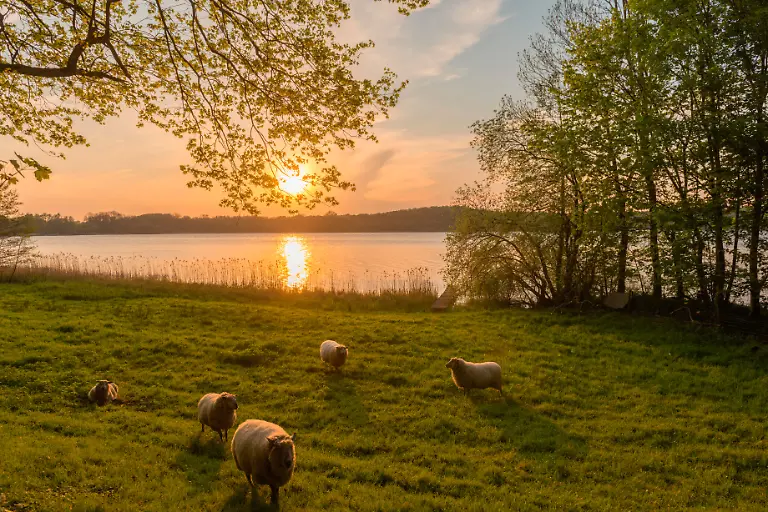 mauritius-images-RKXRWK