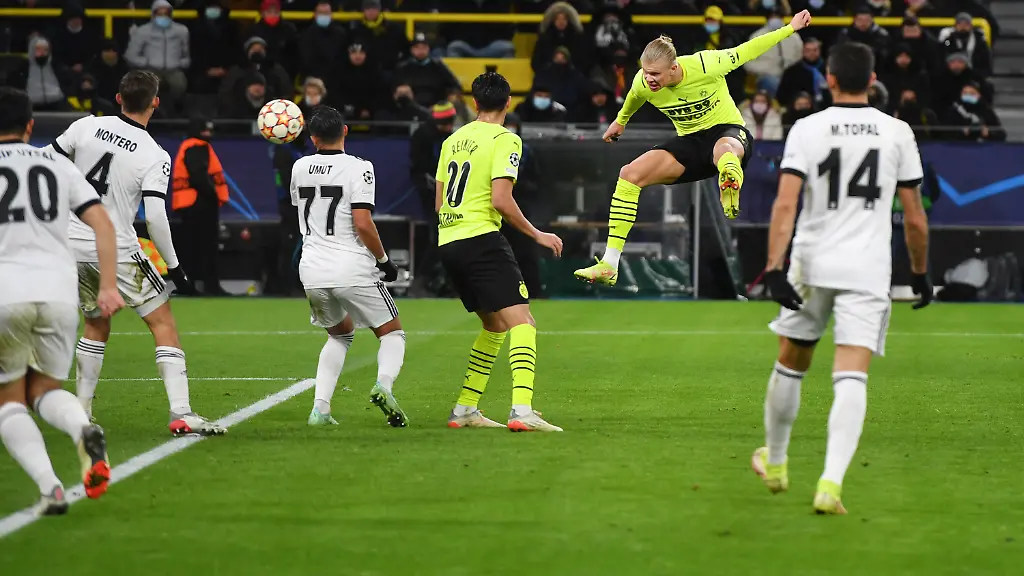 ef88dc495f1fd9613d9054c10c6ecd2f