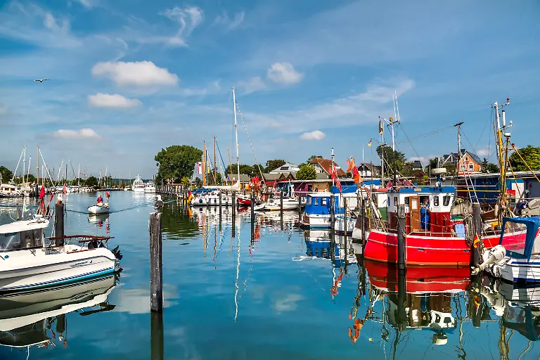 Sabine-Lubenow-Niendorf