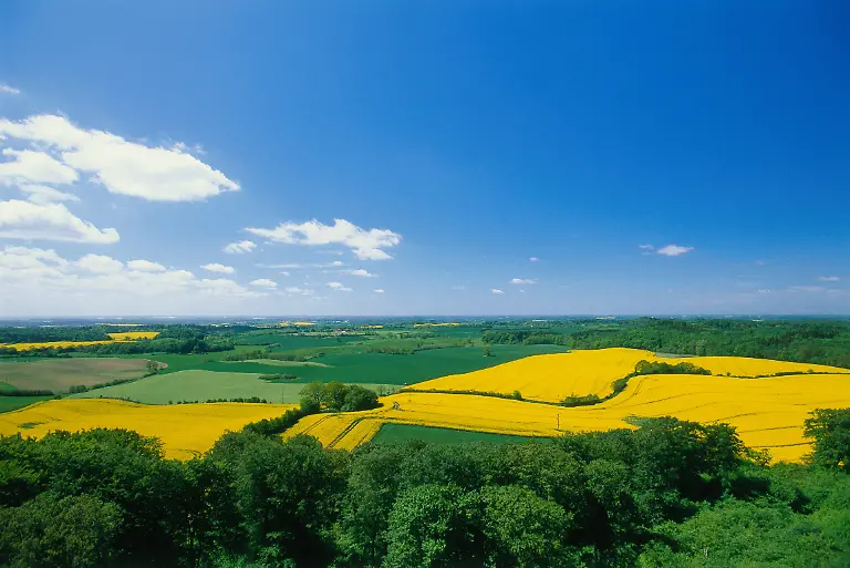Katja-Kreder-Bunsberg