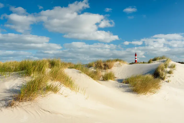 Cornelia-Doerr-Amrum