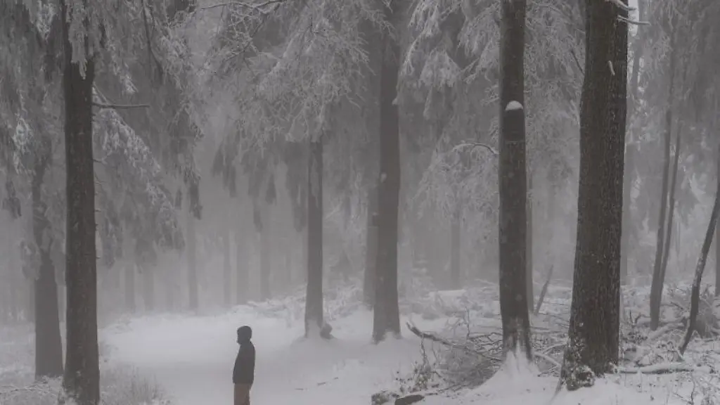 Ein-Spaziergaenger-laeuft-durch-den-verschneiten-Wald-bei-Schmitten