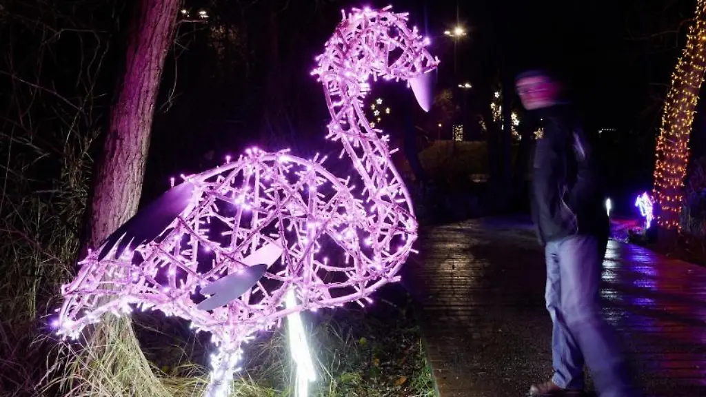 Im-Lichterpark-Lumagica-im-Rostocker-IGA-Park-leuchten-stilisierte-Tierfiguren-aus-Lichterketten