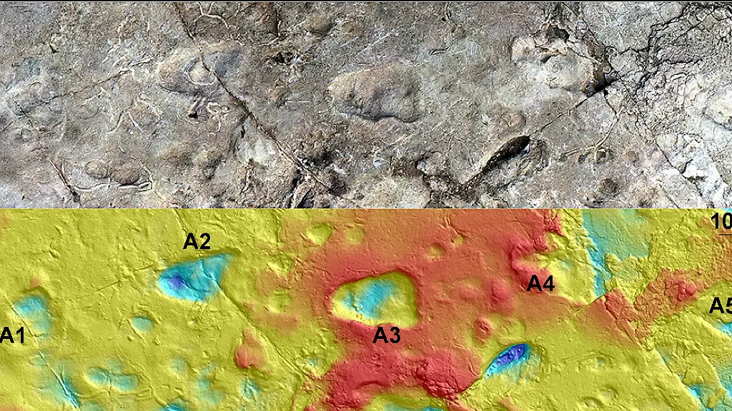 urn-binary-dpa-com-20090101-211130-99-196446-FILED