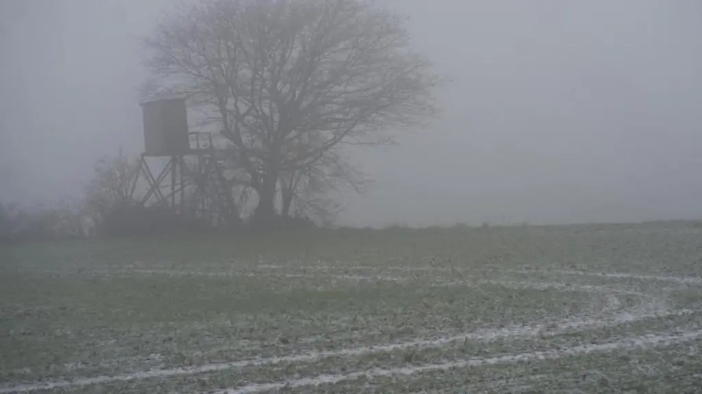 Ein-Baum-steht-bei-nasskaltem-Wetter-auf-einem-Feld