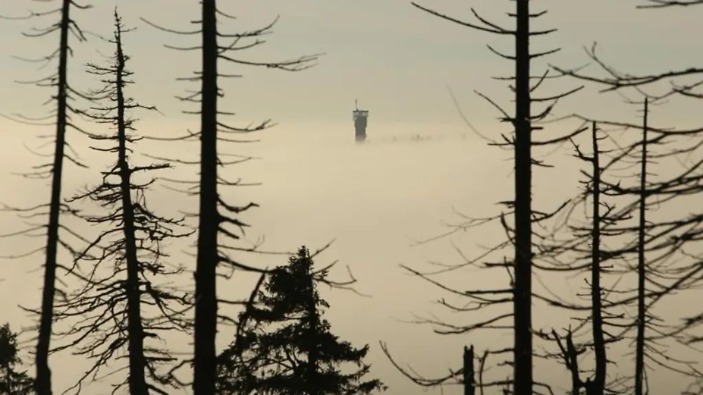 Der-Wurmberg-ragt-aus-einer-Nebelschicht-heraus