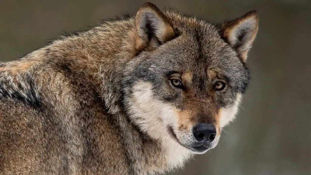 14e1d3f1443fdc12f1113e8c646093f5