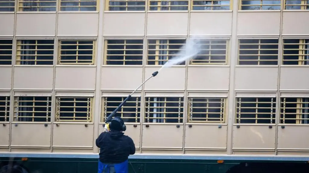 Ein-Mann-reinigt-einen-Viehtransporter-auf-dem-Gelaende-eines-Schweinezuchtbetriebs