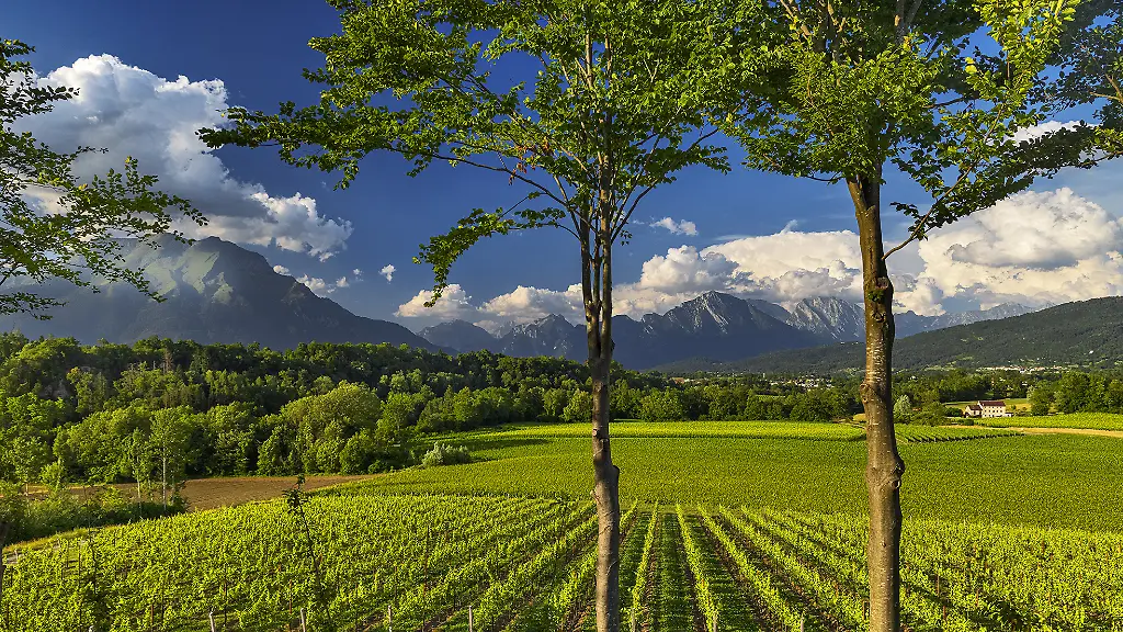 0B0A9913-CLR-Belluno-4-Giugno-2021-Bis-mr