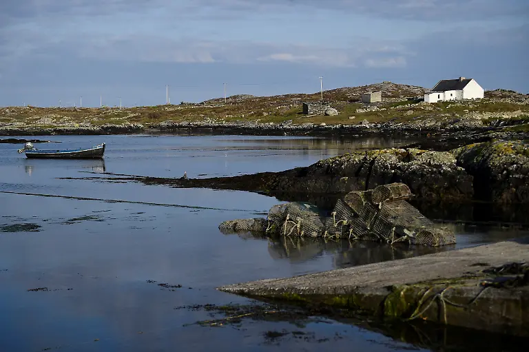 2021-11-17T141650Z-2001532371-RC2IWM9K38GW-RTRMADP-3-IRELAND-ENVIRONMENT-SEAWEED